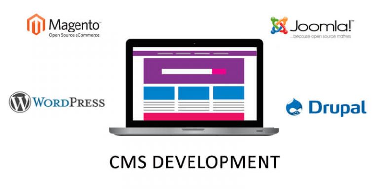 CMS Development Company Pune